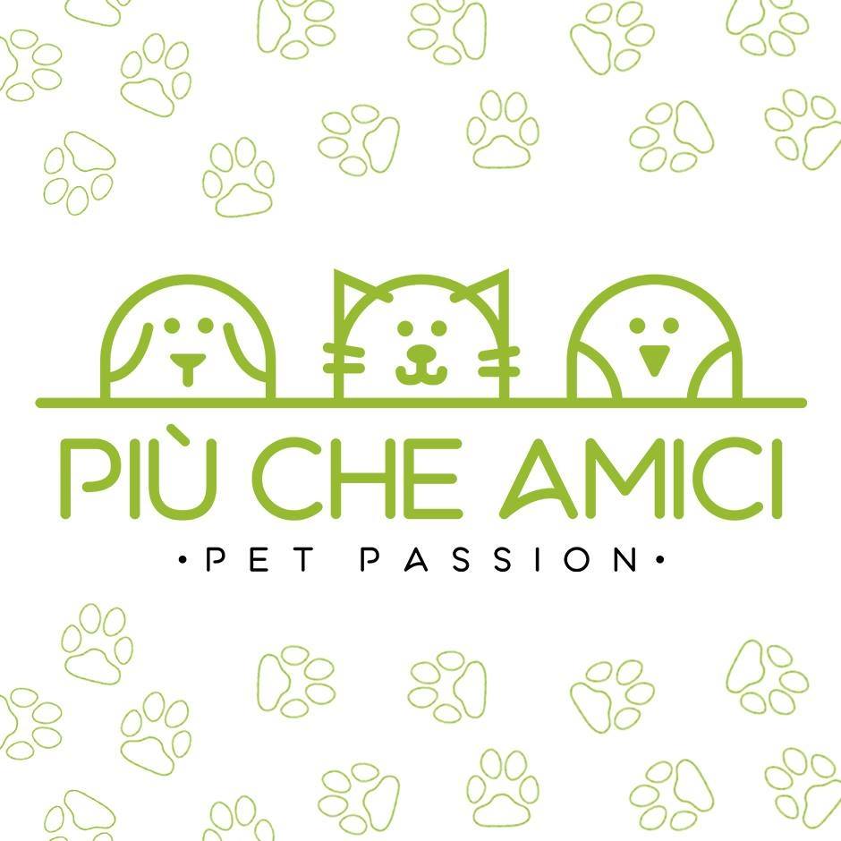 logo_piucheamici